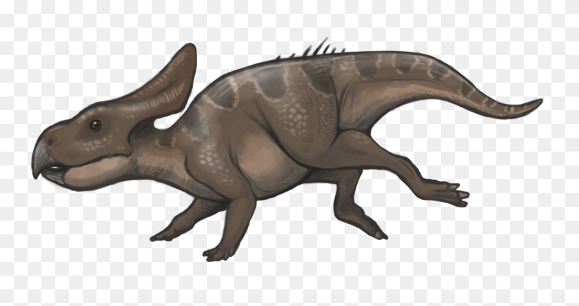 1146x565 Protoceratops Reconstruction - Triceratops PNG