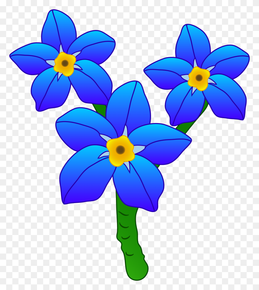 5913x6662 Proven Flower Cartoon Pictures Clip Art Three Forget Me Not - Free Clipart May Flowers