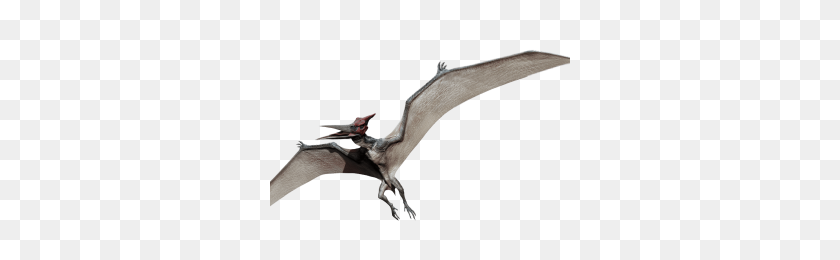 300x200 Pterodactyl Png Image - Pterodactyl Png