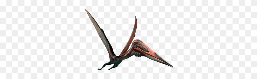 300x200 Pterodactyl Png Png Image - Pterodactyl PNG
