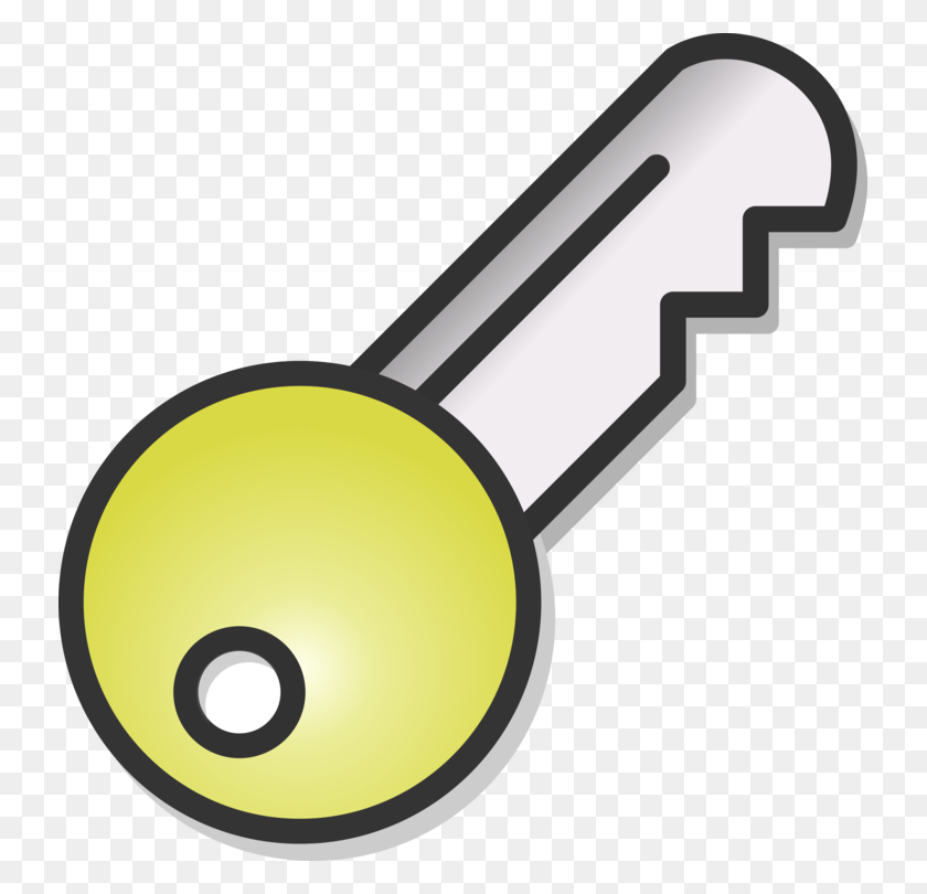 733x750 Public Key Cryptography Computer Icons Password Download Free - Payroll Clipart