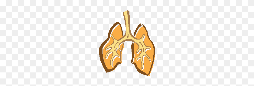 192x225 Pulmonary Clipart Collection - Capacity Clipart