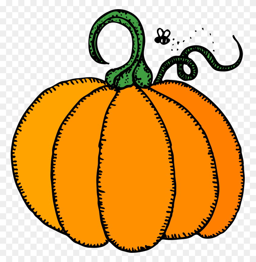 769x800 Pumpkin Pictures Clip Art - Seeds Clipart Black And White