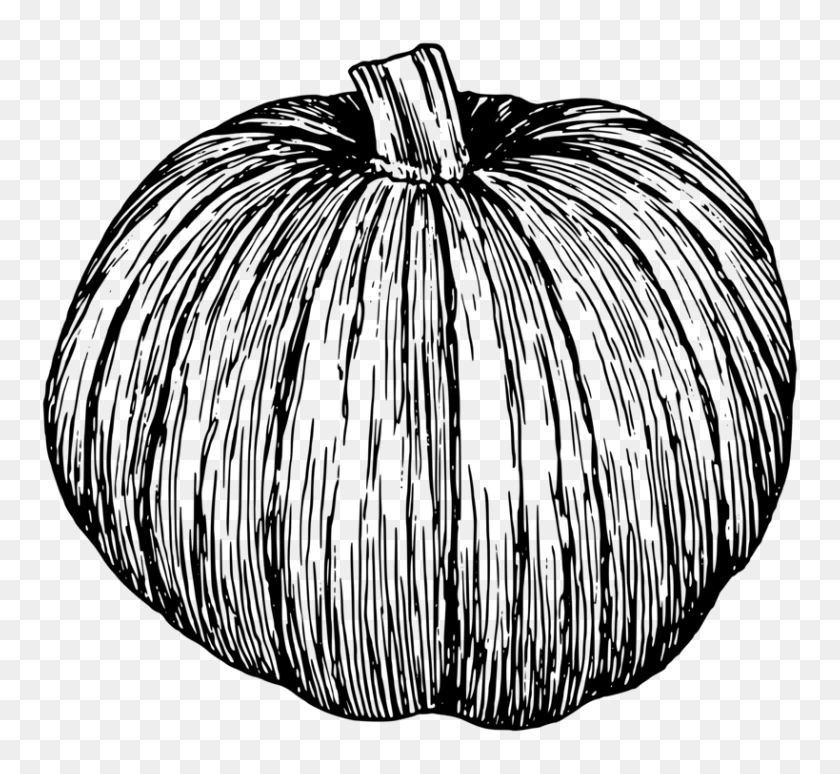 819x750 Pumpkin Pie Drawing Line Art Jack O' Lantern - Pumpkin Black And White Clipart