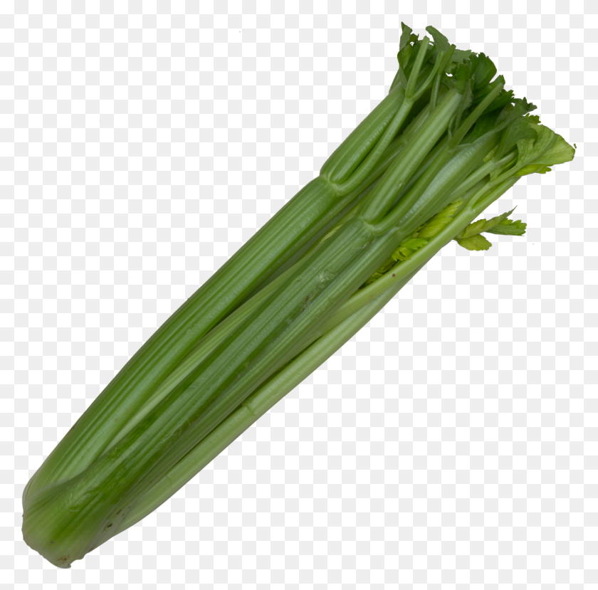 1102x1087 Pure Celery - Celery PNG