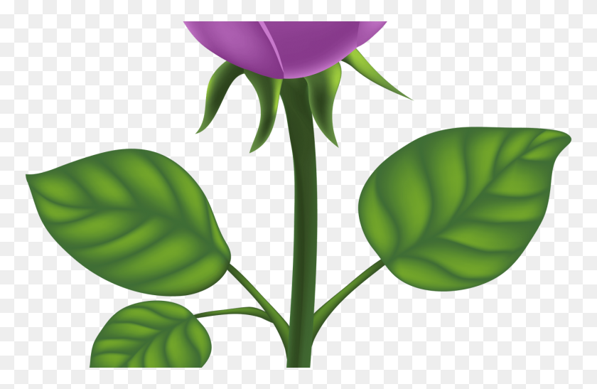 1368x855 Фиолетовый И Зеленый Цветок Клипарт Садовый Цветок И Овощи - Фиолетовая Роза Png