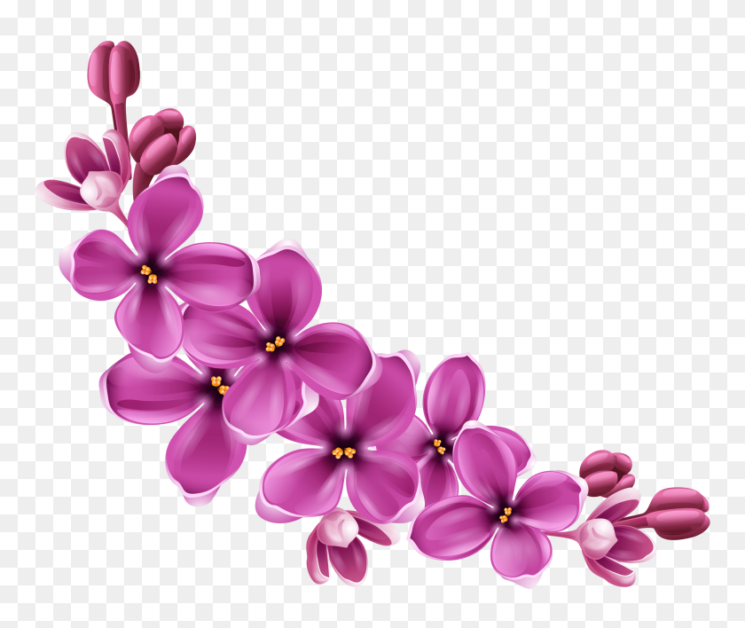 3000x2495 Purple And Pink Flowers Png Transparent Purple And Pink Flowers - Pink Watercolor Flowers PNG