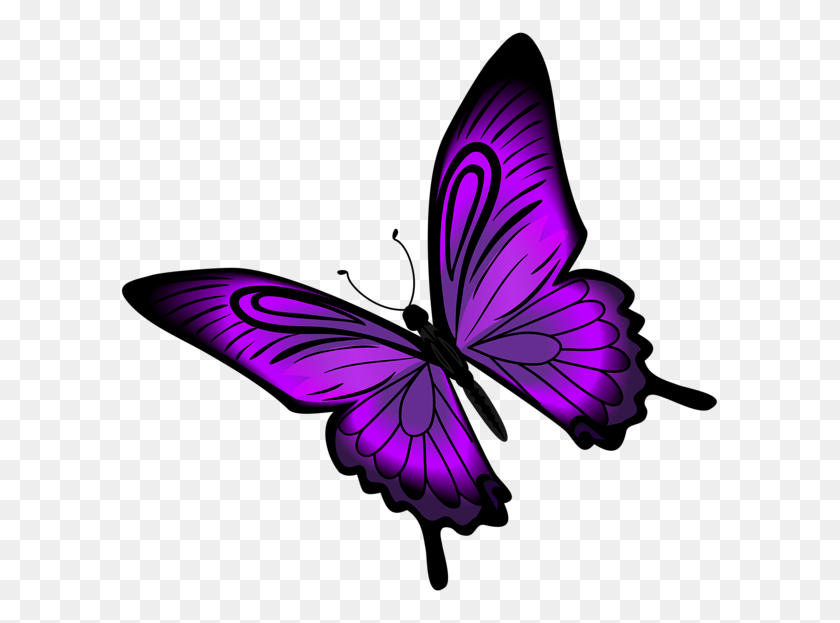 600x563 Фиолетовая Бабочка И Цветок Клипарт Изображения Скачать Бесплатно - Фиолетовая Бабочка Png