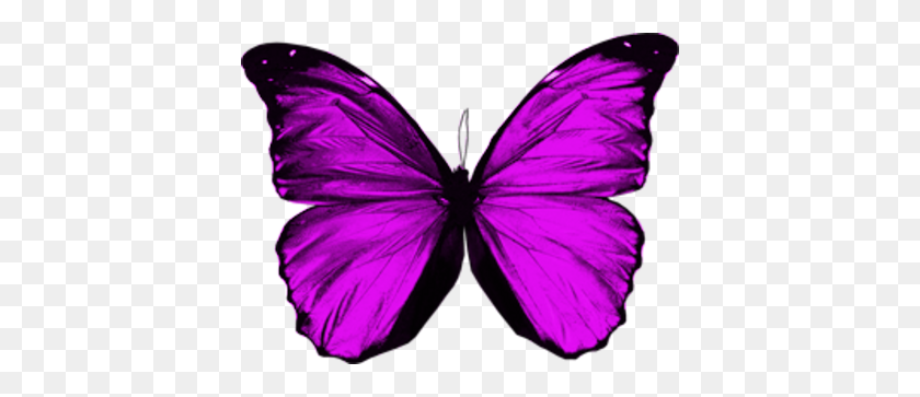 400x303 Purple Butterfly Png - Purple Butterfly PNG