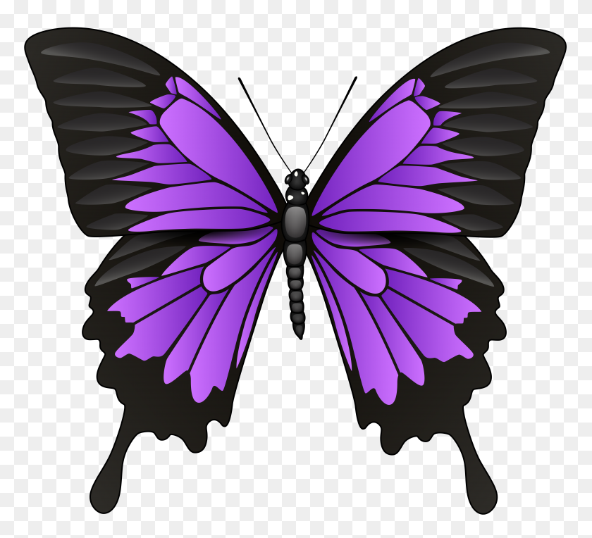 8000x7224 Purple Butterfly Png Clip Art - Purple Butterfly Clipart
