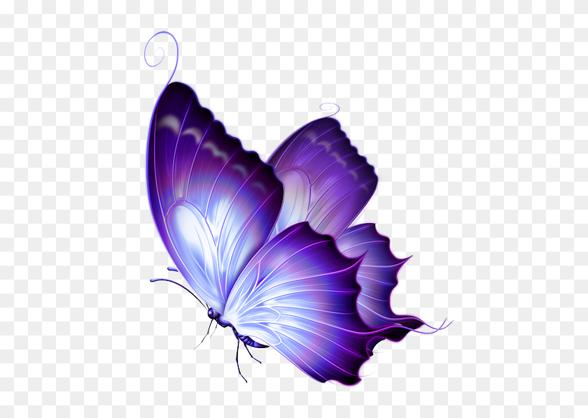 480x538 Фиолетовая Бабочка Png Клипарт - Бабочка Png