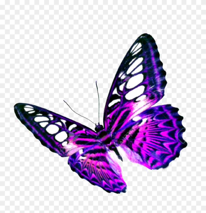1058x1100 Фиолетовая Бабочка На Прозрачном Фоне - Фиолетовый Фон Png