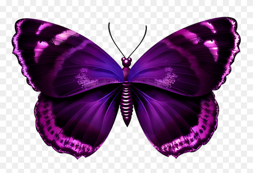 930x614 Purple Butterfly Transparent Png - Purple Butterfly PNG