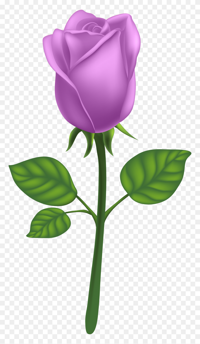 4518x8000 Purple Deco Rose Png Clip Art - Purple Rose Clipart