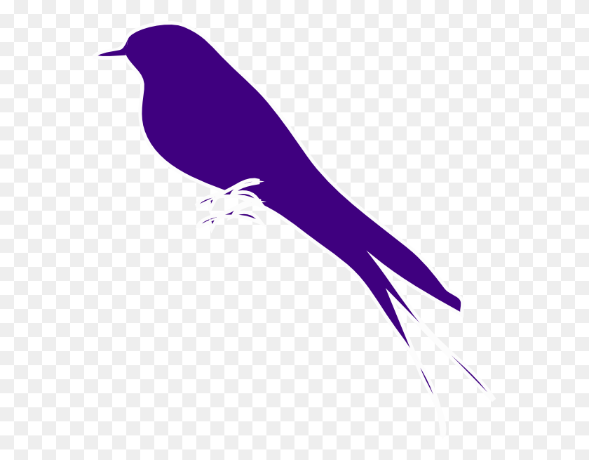 576x595 Pinzón Púrpura En Una Rama Clipart - Finch Clipart