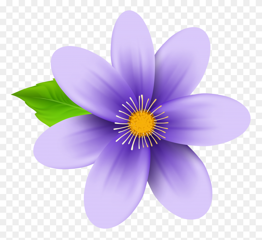 8000x7256 Purple Flower Clip Art - Purple Flower PNG