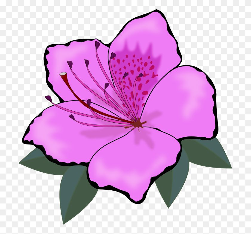 719x722 Purple Flower Clipart Look At Purple Flower Clip Art Images - Chrysanthemum Clipart