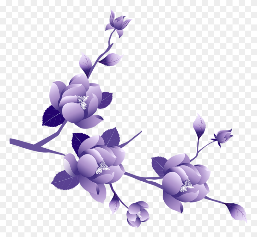 800x734 Фиолетовый Цветок Клипарт Без Фона Картинки - Фиолетовый Цветок Клипарт