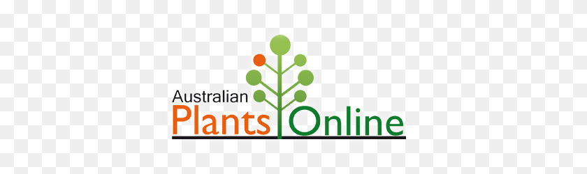 364x190 Фиолетовые Цветущие Растения Австралийские Растения Онлайн - Висячие Лозы Png