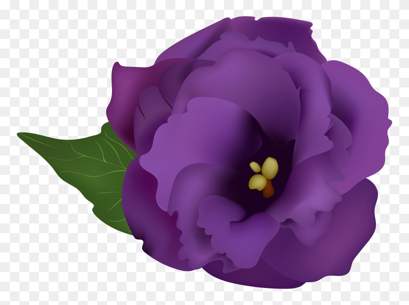 8000x5833 Purple Flowerpng Transparent Clip Art Gallery - Purple Flower Clipart