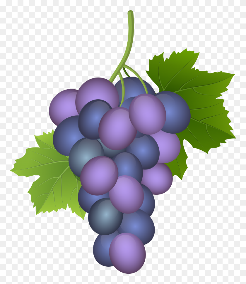 6876x8000 Purple Grape Png Clip Art - Purple Grapes Clipart