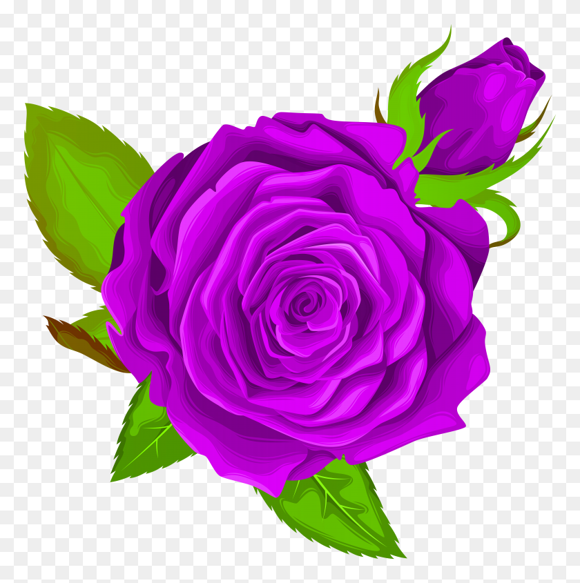 7942x8000 Purple Rose Decorative Png Clip Art - Purple Flower PNG