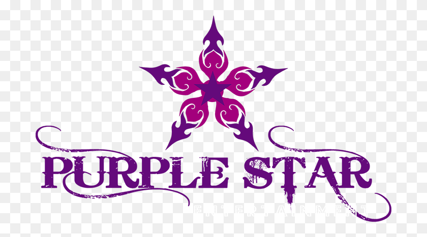 700x407 Purple Star Entertainment - Purple Star PNG