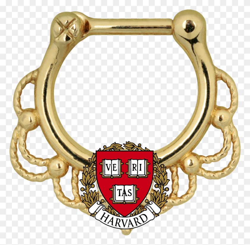 1024x1001 Putting A Ring On It The Harvard Independent - Septum Piercing PNG