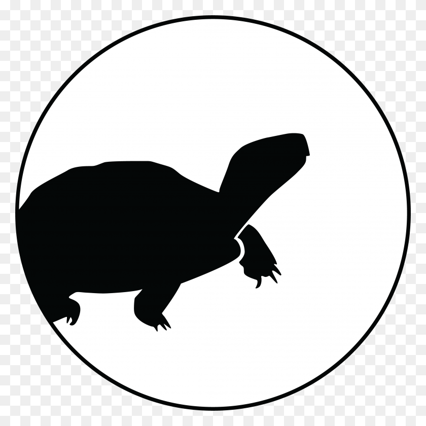 4281x4282 Кампа С Розалиндой Паломо Рамос, Победительницей Конкурса Sabin Turtle - Desert Tortoise Clipart