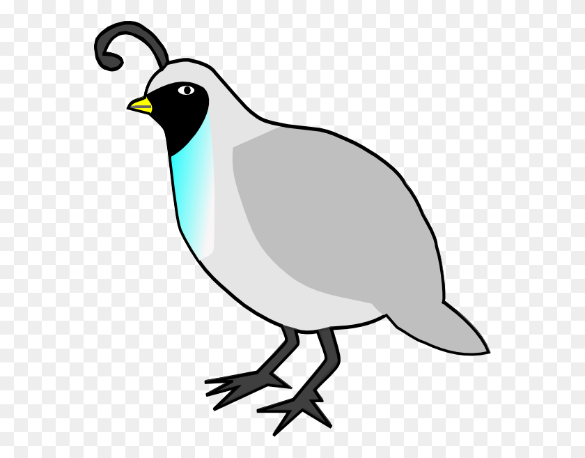 570x597 Quail Clipart Quail Bird - Bird Clipart Outline