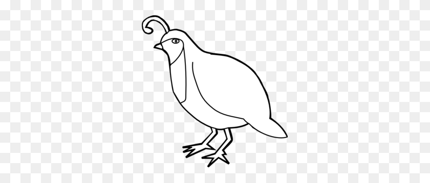 285x299 Quail Outline Clip Art - Feather Black And White Clipart