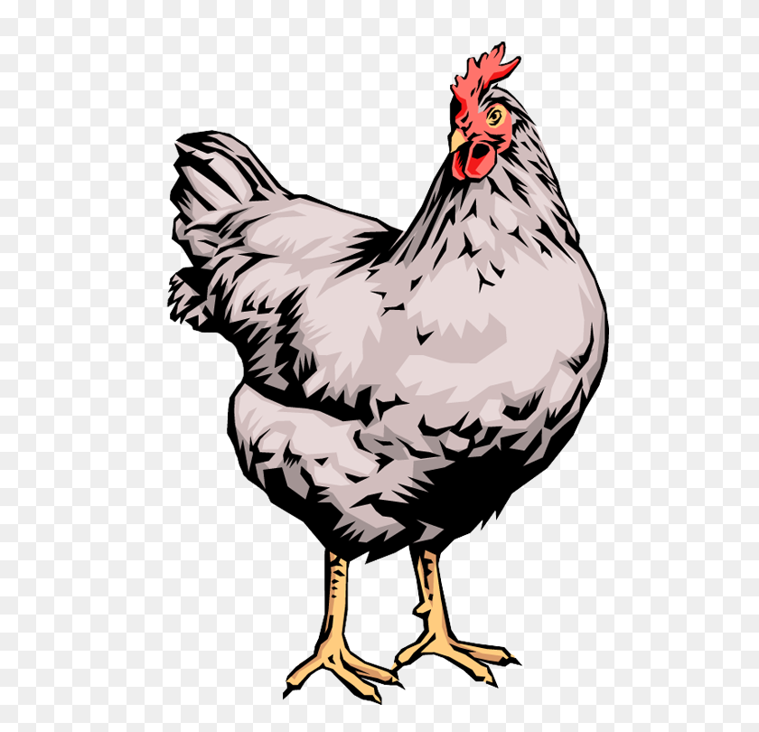 508x750 Quality Clip Art Of Animals That Live On A Farm Rooster Clipart - Live Clipart