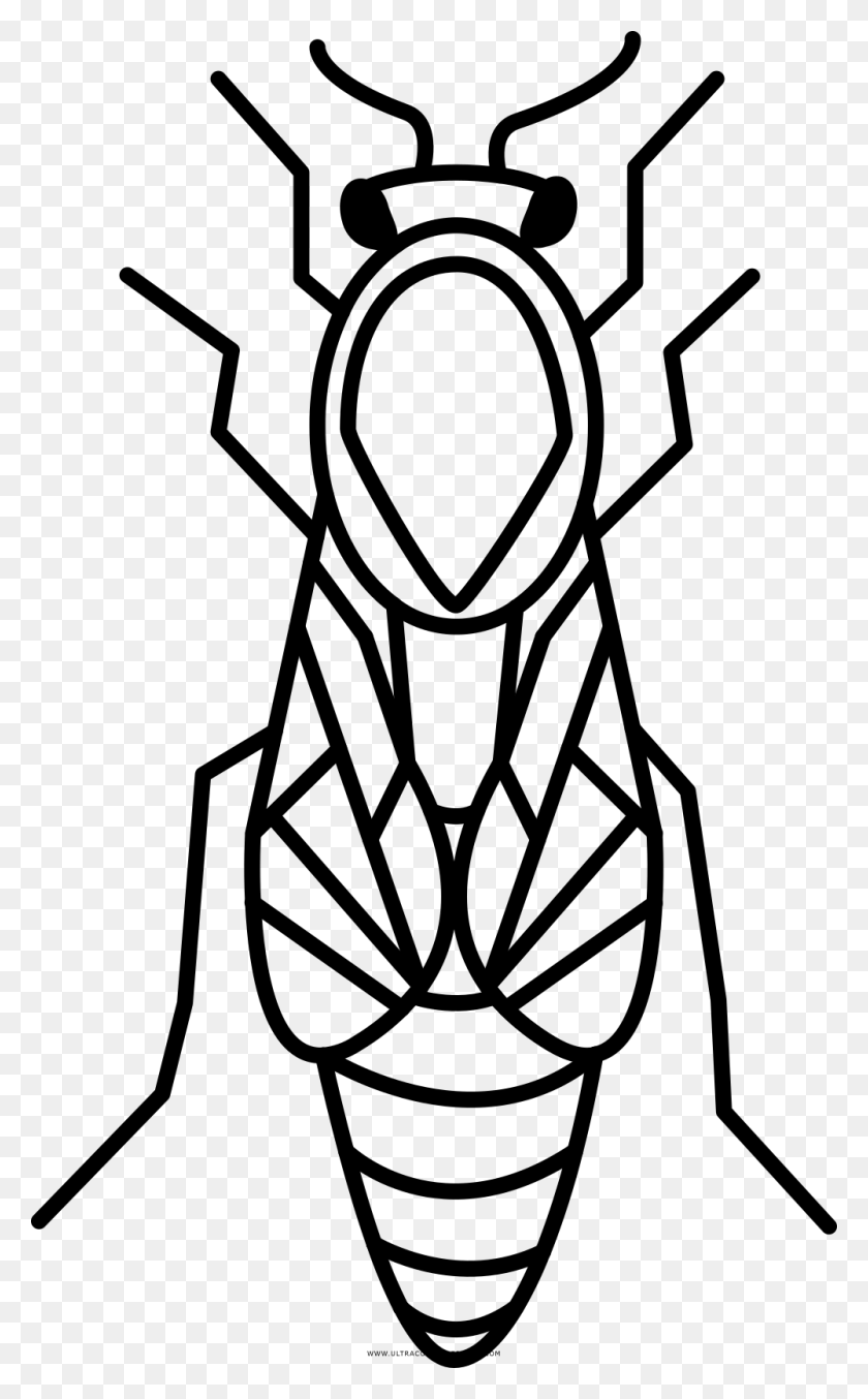 1000x1660 Queen Bee Coloring Pages Free Coloring Pages - Lol Dolls Clipart