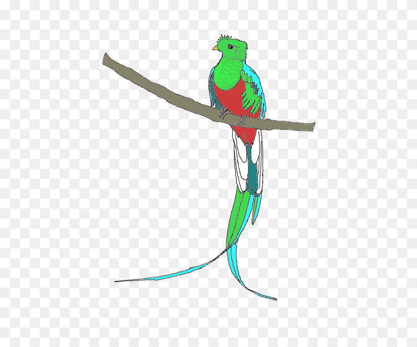 434x639 Quetzal Free Images - Quetzal Clipart
