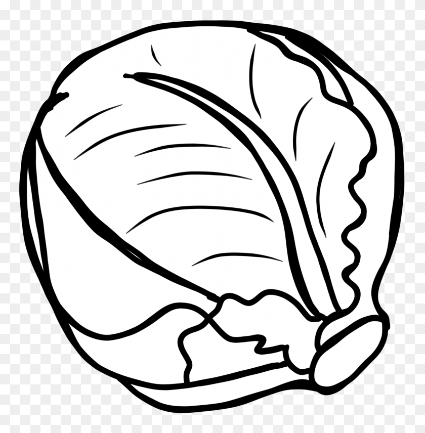 1567x1600 Quotes About Cabbage - Pierogi Clipart