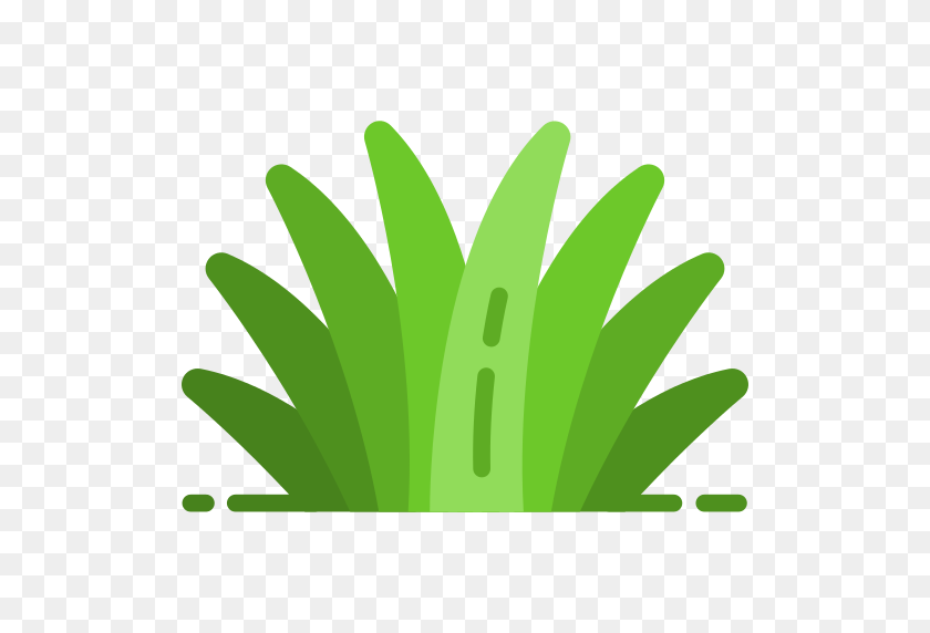 512x512 Quran Book Png Icon - Green Grass PNG