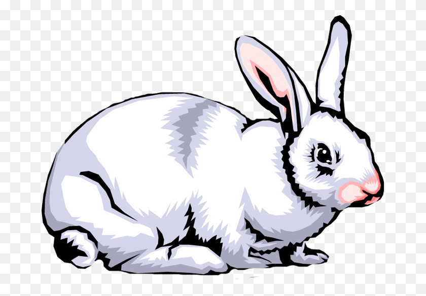 675x524 Rabbit Clip Art Images Free Clipart Png - Rabbit Clip Art