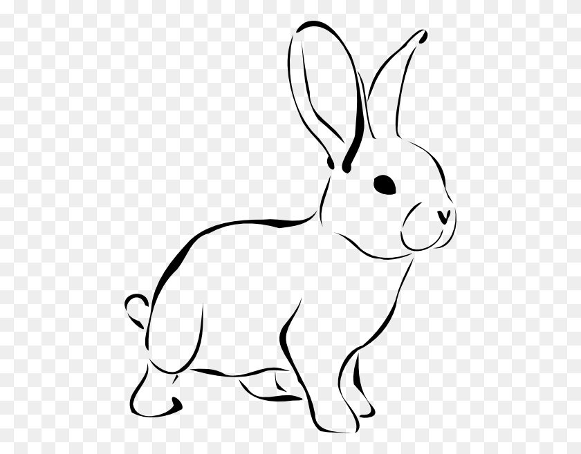 480x597 Черный И Белый Кролик - Милый Черно-Белый Клипарт