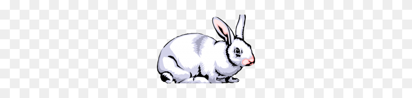 200x140 Rabbit Clipart Images Rabbit Clipart Images Cute Bunny Cartoon Png - Cute Rabbit Clipart