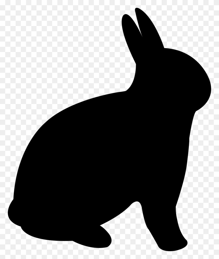 816x980 Rabbit Png Icon Free Download - White Rabbit PNG