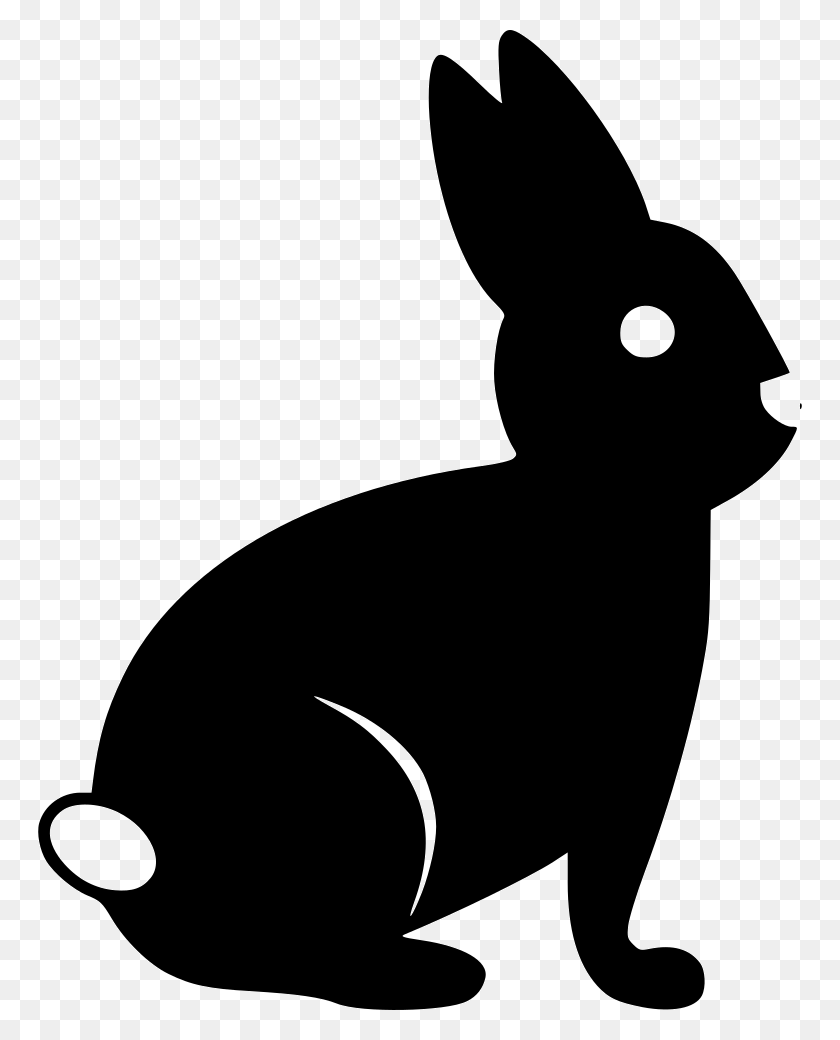 764x980 Rabbit Png Icon Free Download - White Rabbit PNG