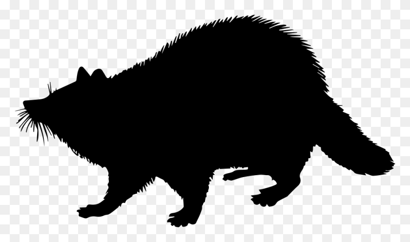 982x550 Racoon Mammal Animal Shape Png Icon Free Download - Racoon PNG