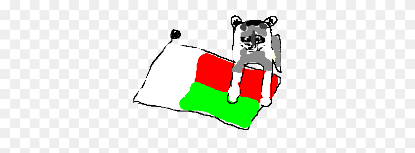 300x250 Racoon On Flag Of Madagascar - Racoon Clipart