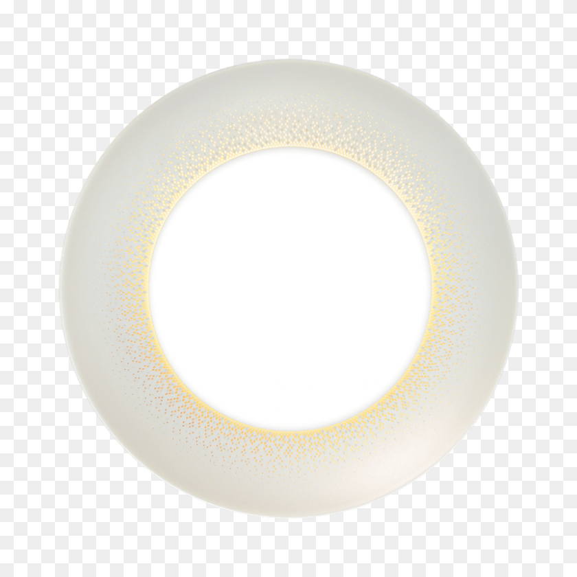 800x800 Radcliffe Jewelers Haviland Moonlight Grey Lge Dinner Plate - Moonlight PNG