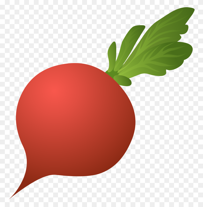 772x800 Radish Clipart Turnip - Fresh Produce Clipart