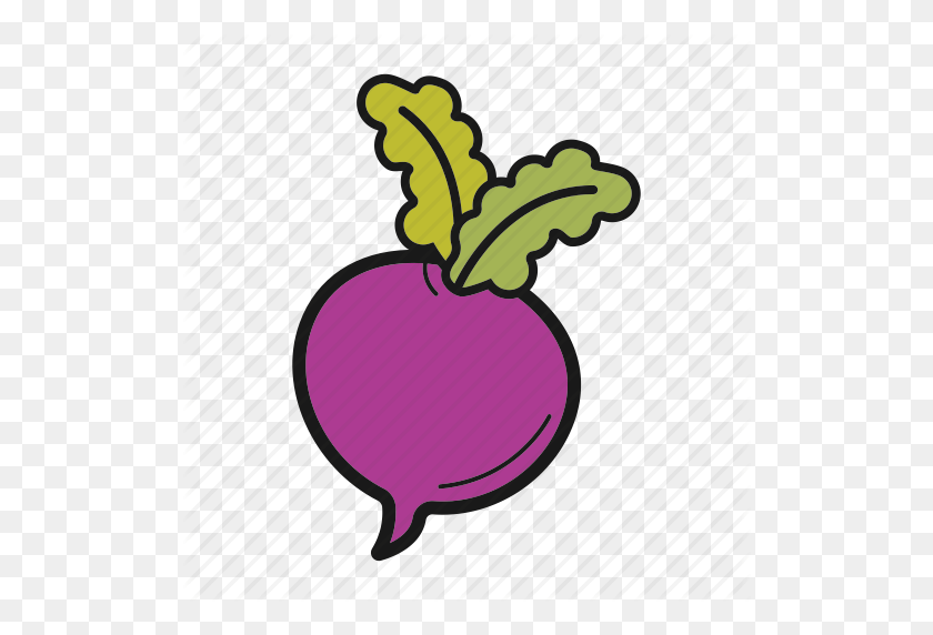 512x512 Radish, Root Crop, Turnip, Vegetable Icon - Turnip PNG