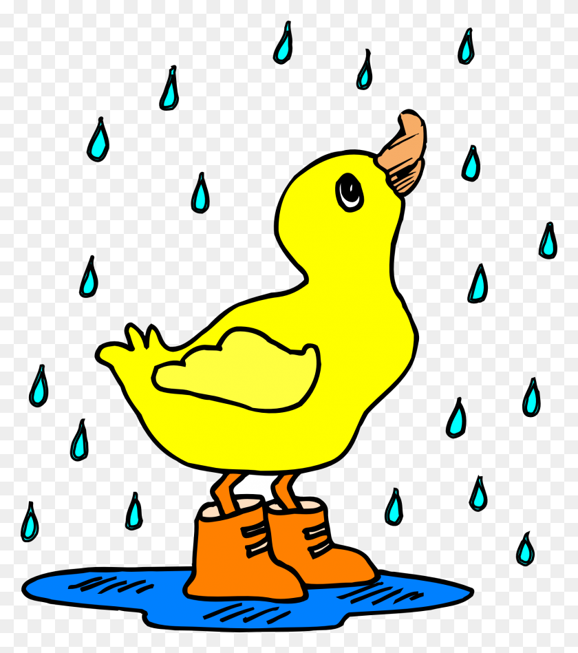 1684x1920 Rain Duck Puddle Boots Water Free Image - Puddle PNG