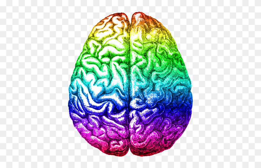 420x480 Rainbow Brain, Aug - Brain PNG