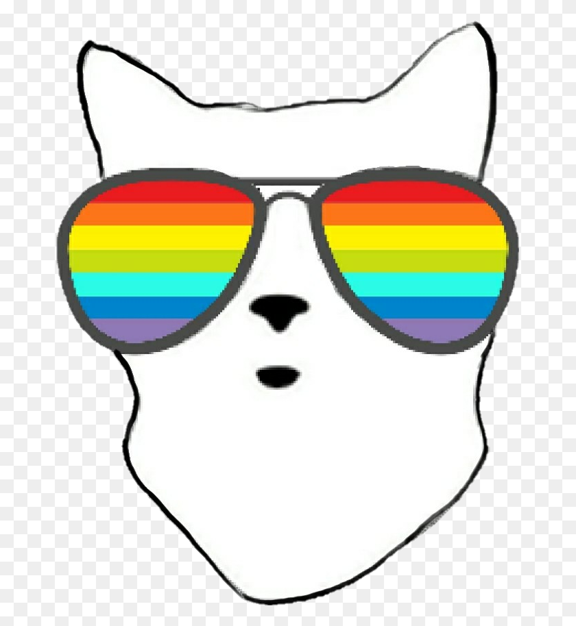 675x854 Rainbow Sunglasses Coolcat - Coolcat PNG
