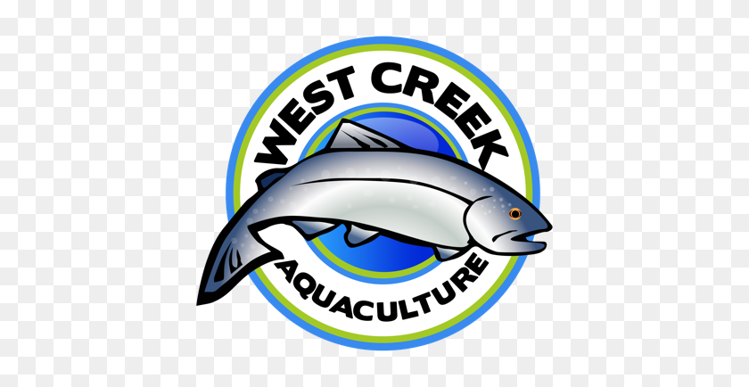 424x374 Rainbow Trout From West Creek Aquaculture Fishchoice - Rainbow Trout Clipart